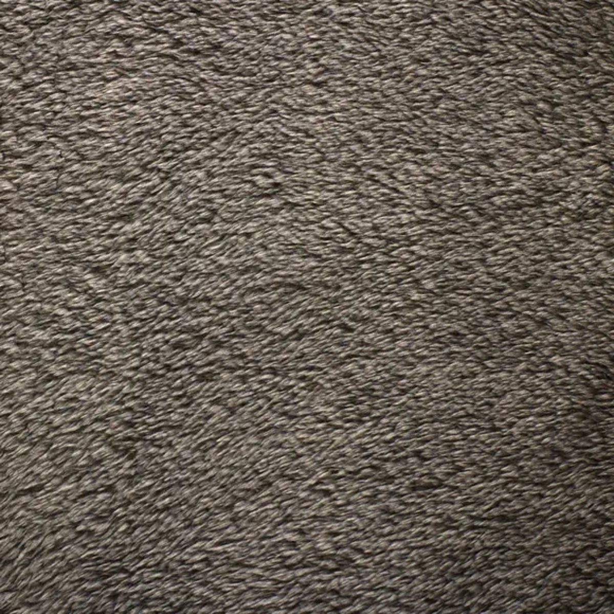 Piel de Bisonte