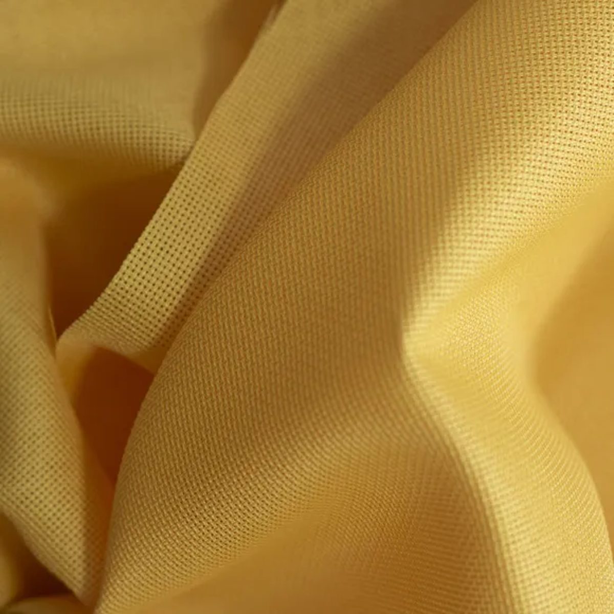 Aida