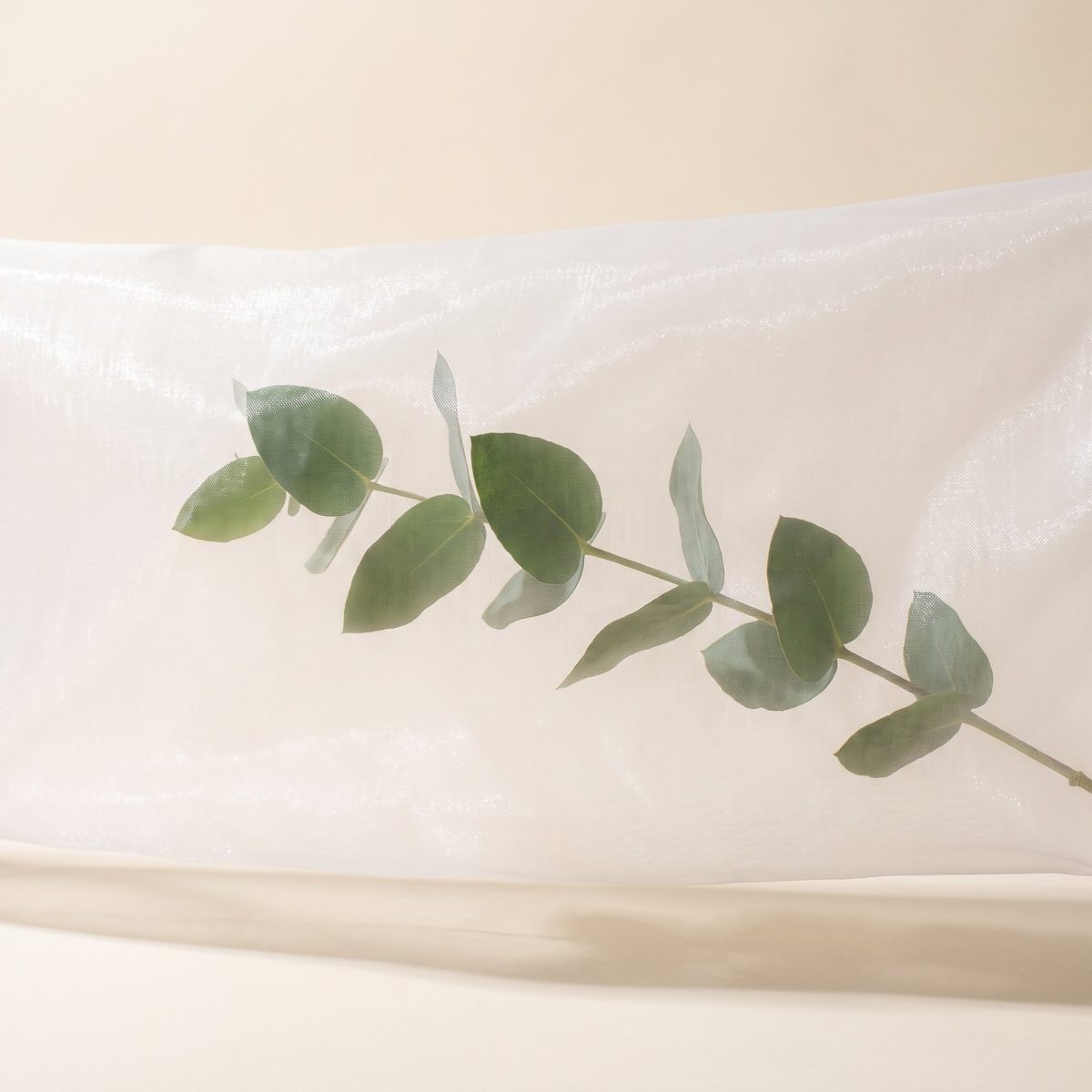Organza