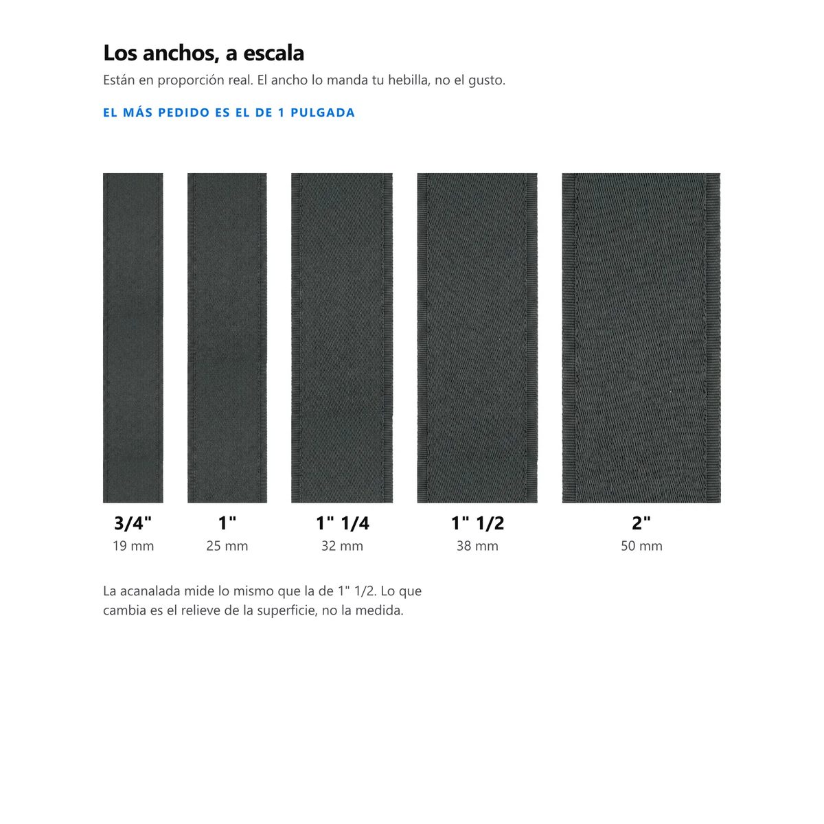 Los seis anchos de reata a escala real, de 19 a 50 milímetros, en gris oscuro