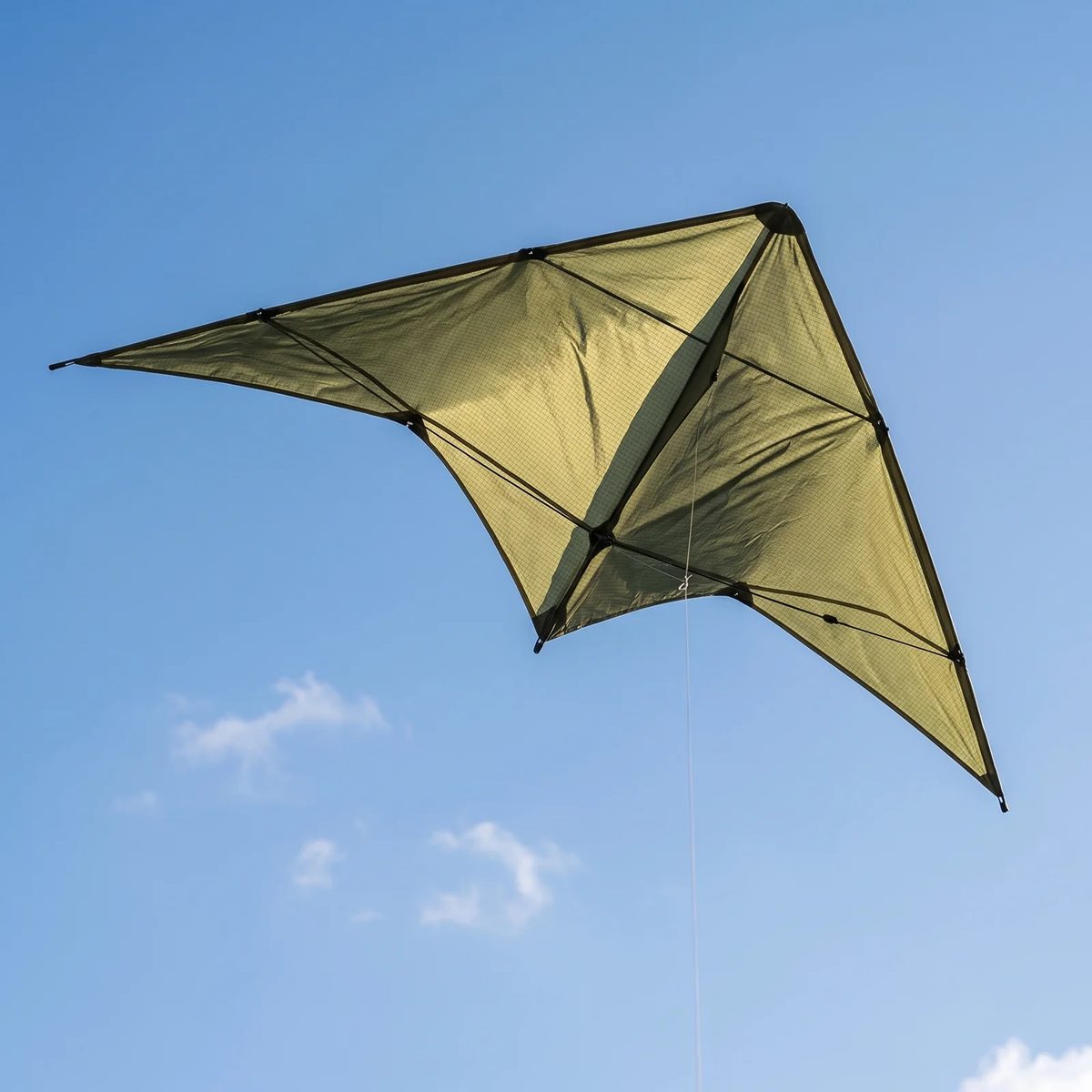 Ripstop de Nylon Impermeable color verde oliva: una cometa delta hecha en Ripstop de Nylon Impermeable volando contra el cielo