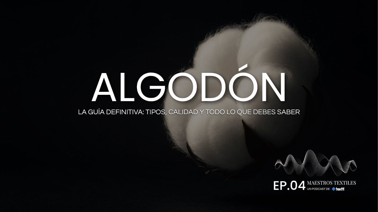 Algodón: La Guía Definitiva (Tipos, Calidad y Errores que Debes Evitar)